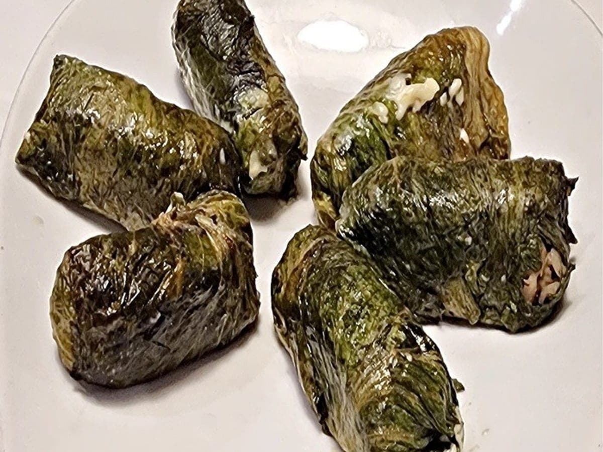 Dolma Japrak Stuffed Vine Leaves — International recipe