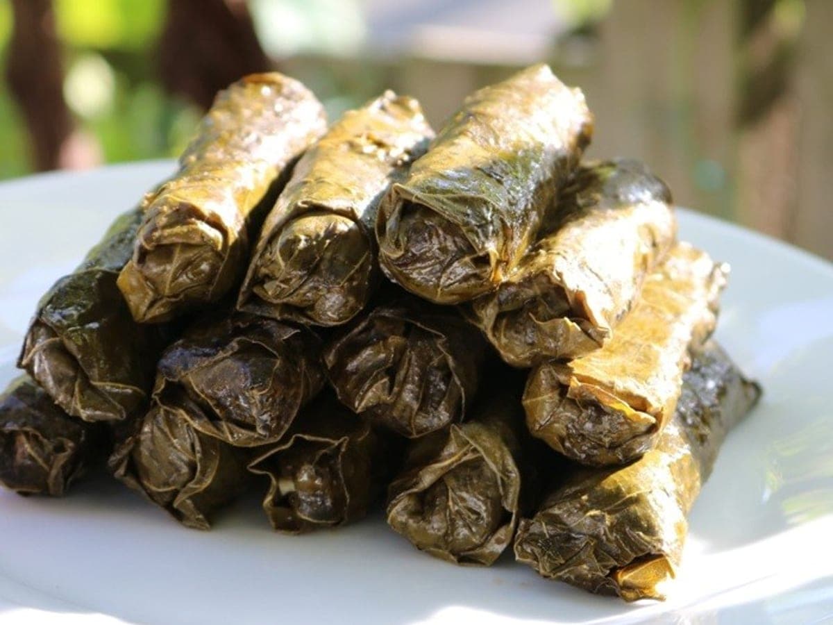 Stuffed Grape Leaves — International recipe