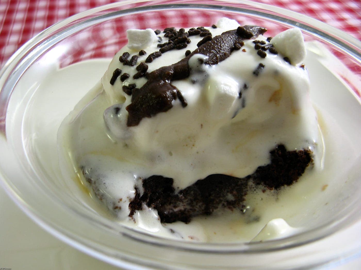 No-churn vanilla ice cream — Tribal People Try recipe