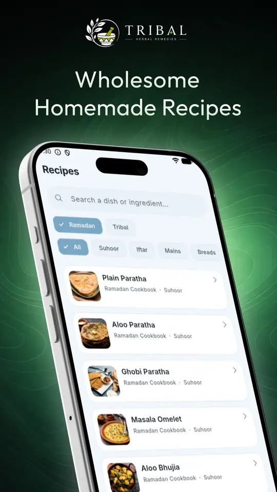Recipe list with Plain Paratha, Aloo Paratha, Gobhi Paratha and Masala Omelet
