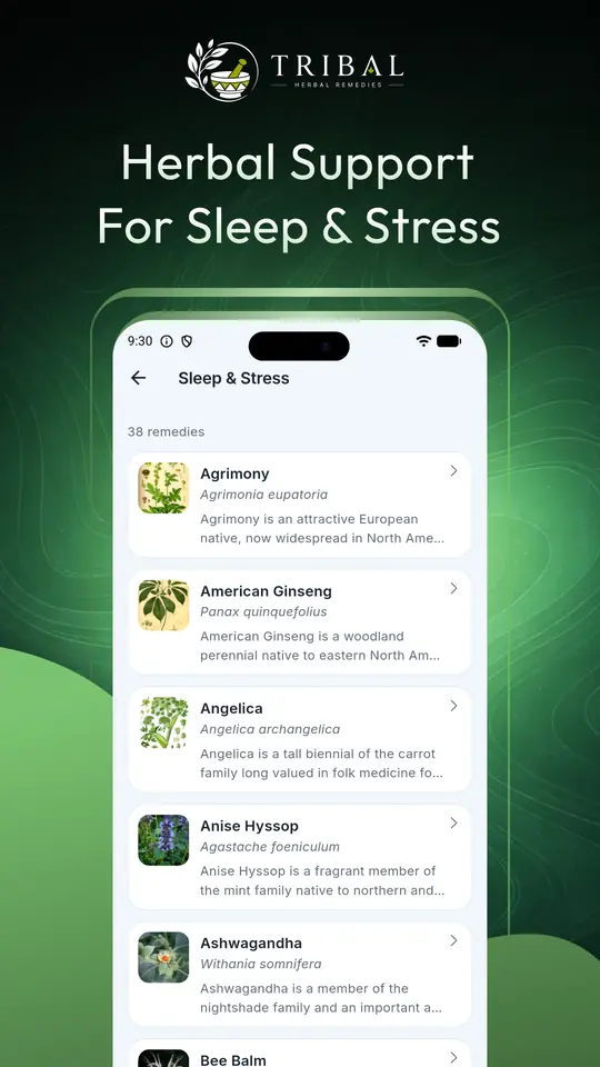 List of herbs traditionally used for sleep and stress, including agrimony, American ginseng and ashwagandha